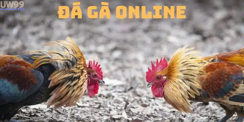 Lợi ích và rủi ro khi tham gia đá gà online